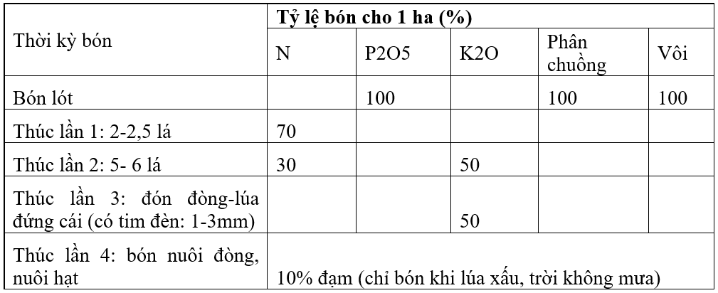 bai 4-moi-phan bon-bang4_1638160226.png